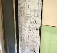 Dveře pokryté městským motivem, podlaha s dřevěným dekorem, stěna v sytě zelené barvě.