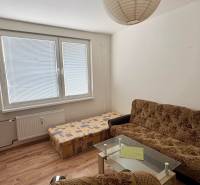 Garsonka obsahuje pohovku, křeslo, konferenční stolek, podlahu s dřevěným dekorem a velké okno.