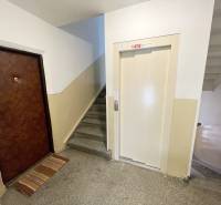 Vchod do 3-pokojového bytu, schodiště, výtah na Matice Slovenské v Prešově.