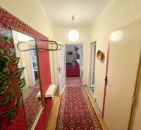 Chodba v 3-pokojovém bytě s podlahou s dřevěným dekorem a vzorovaným kobercem.