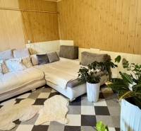 Interiér rodinného domu s rohovou sedačkou, rostlinami a vzorovanou podlahou s dřevěným dekorem.