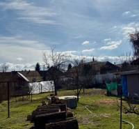 Zahrada s posekaným trávníkem a dřevem v areálu rodinného domu v Mýtných Ludanoch.