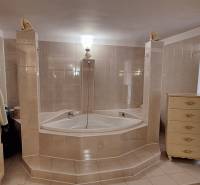 Koupelna v rodinném domě s rohovou vanou a dekorovaným nábytkem.