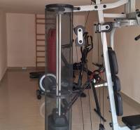 Fitness místnost s posilovacími stroji v rodinném domě má světlý keramický povrch.