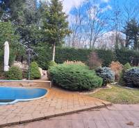 Rodinný dům v Komárně s malým bazénem a udržovanou zahradou obklopenou stromy.