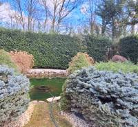 Rodinný dům v Komárně s jezírkem a okrasnými keři v zahradě.