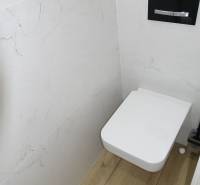 Koupelna s toaletou a podlahou s dřevěným dekorem v 3-pokojovém bytě.