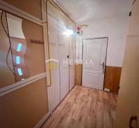 Chodba v 3-pokojovém bytě s dřevěnou podlahou, zrcadlem a vestavěnou skříní.