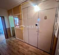 Chodba v 3-pokojovém bytě s věšákem, zrcadlem a interiérovými dveřmi.