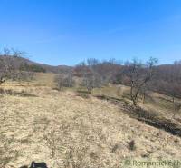 Holé zahrady v okolí Nové Bane s holými stromy a modrou oblohou.