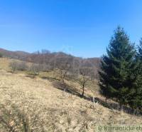 Kopcovitá krajina v Zahradách u Nové Baně s travnatými plochami a stromy.