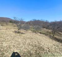 Kopcovitá krajina v Zahradách v Nové Bani s řídkými stromy a modrou oblohou.