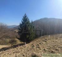 Krajina se stromy a kopci v okolí Nová Baňa v zahradách.