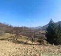 Přírodní krajina v okolí Nová Baňa se stromy a kopci na Zahradách.