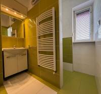 Koupelna v 2-pokojovém bytě s umyvadlem, zrcadlem a zeleno-bílými obklady.