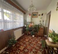 Pokoj v rodinném domě s množstvím rostlin, koberec a velké okno s krajkovou záclonou.