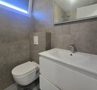 Koupelna ve vile s umyvadlem, závěsnou toaletou a velkým zrcadlem.