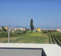 Výhled z Vily v Zukve, Vrsi na moře, domy a vinice v pozadí.