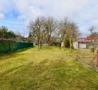 Zahrada v rodinném domě na Kalinčiakově ulici v Michalovcích s trávníkem a stromy.