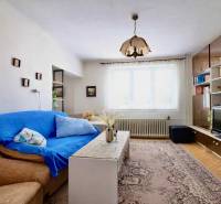 Obývací pokoj v rodinném domě s kobercovým vzorem a nábytkovou stěnou.