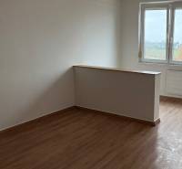 Pokoj v 2-pokojovém bytě s podlahou s dřevěným dekorem a výhledem z okna.