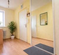 Světlá předsíň s podlahou s dřevěným dekorem, zrcadlem a pokojovými rostlinami v 2-pokojovém bytě.