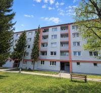 Pětiposchoďový bytový dům na Palárikově ulici v Senici obklopený zelení.