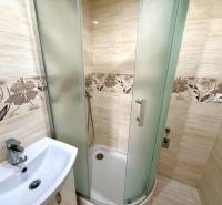 Koupelna v 2-pokojovém bytě s dlaždicovým obkladem a sprchovým koutem.