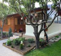 Dřevěný zahradní domek obklopený zelení v zahradách Dolních Krškán v Nitře.