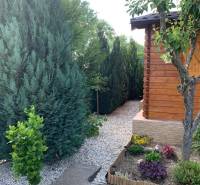 Zahrady v Dolních Krškanech, Nitra s upravenými jehličnany a dřevěným zahradním domkem.