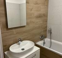 Koupelna v 2-pokojovém bytě s podlahou s dřevěným dekorem a vanou.