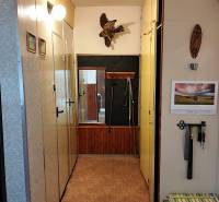 Chodba v 2-pokojovém bytě s věšákovou stěnou a dekorací na stěně.