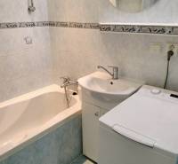 Koupelna dvoupokojového bytu s vanou, umyvadlem a pračkou.