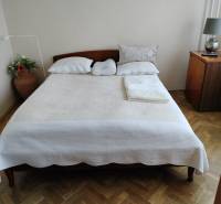 Ložnice s manželskou postelí, podlahou s dřevěným dekorem a nočním stolkem v 2-pokojovém bytě.