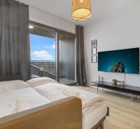 1-pokojový byt s postelí, televizorem, rostlinou a podlahou s dřevěným dekorem.