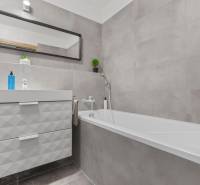 Koupelna s vanou, umyvadlem a zrcadlem v 1-pokojovém bytě.