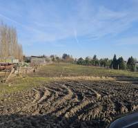 Pozemky v Tešedíkově vhodné k bydlení s výhledem na stromořadí.