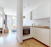 1 izbovy byt na prenajom_novostavba_slnecnice zona Mesto