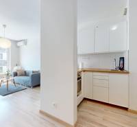 1 izbovy byt na prenajom_novostavba_slnecnice zona Mesto