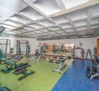 Posilovna se stroji a zrcadlem v 2pokojovém bytě.