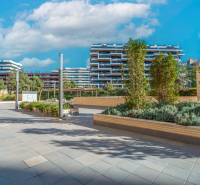 Moderní architektura v Alicante s výhledem na dvoupokojový byt, obklopená zelení.