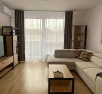 Obývací pokoj v 2pokojovém bytě s podlahou s dřevěným dekorem, světlou sedačkou a televizí.