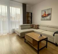 Obývací pokoj s pohovkou, podlahou s dřevěným dekorem a nábytkem v 2-pokojovém bytě.