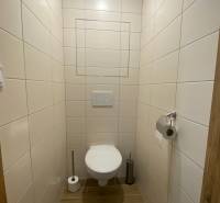 Toaleta s obklady a podlahou s dřevěným dekorem v 2-pokojovém bytě.