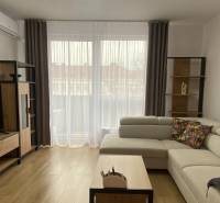 Obývací pokoj s pohovkou, televizorem a podlahou s dřevěným dekorem v dvoupokojovém bytě.