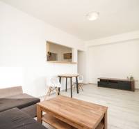 Obývací pokoj v 2-pokojovém bytě s podlahou s dřevěným dekorem a jednoduchým nábytkem.