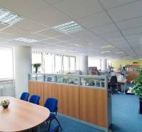 Kanceláře s modrým kobercem, velkoplošná okna, rozdělené pracovní prostory, konferenční stůl.