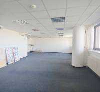 Prostorná kancelář s modrým kobercem, okny a klimatizací, vhodná k různému využití.