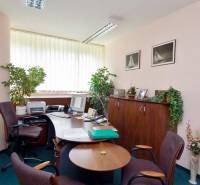 Kancelář se stoly, židlemi, počítačem a rostlinami, podlaha s kobercovým dekorem.