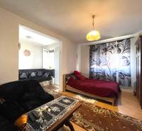 Útulný 1-pokojový byt s podlahou s dřevěným dekorem, postelí a pohovkou s květovaným vzorem.